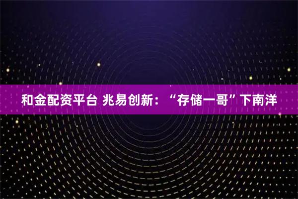 和金配资平台 兆易创新：“存储一哥”下南洋