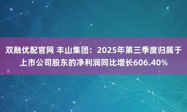 双融优配官网 丰山集团：2025年第三季度归属于上市公司股东的净利润同比增长606.40%